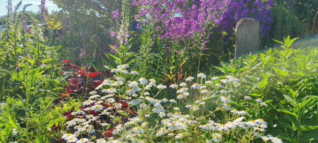 Heikes Garten